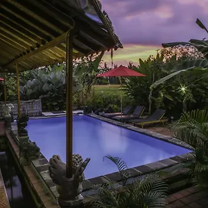  Pensión Soca House